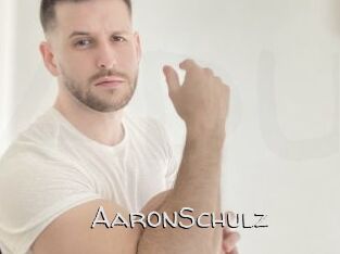 AaronSchulz