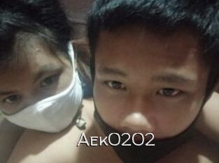 Aek0202