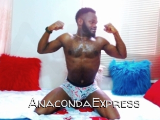 AnacondaExpress