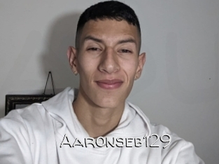 Aaronseb129