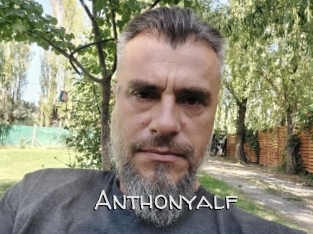 Anthonyalf