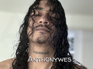 Anthonywes