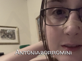 Antoniaborromini