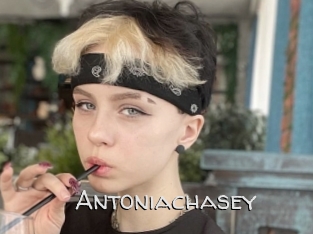 Antoniachasey
