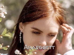 Araeggett