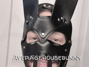 Averagehousebunny
