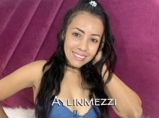 Aylinmezzi