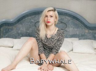 Babywhale