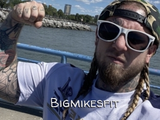 Bigmikesfit