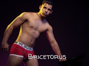 Bricetorus