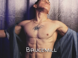 Brucemill