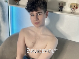 Brucevolt