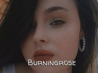 Burningrose