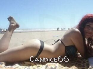 Candice66