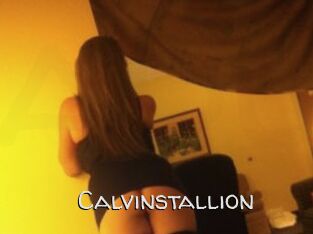 Calvinstallion