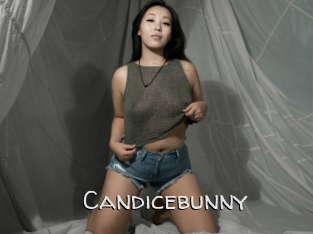 Candicebunny