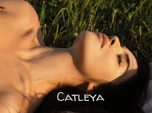 Catleya