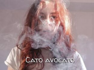 Cato_avocato