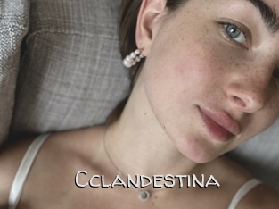 Cclandestina