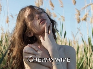 Cherrywipe