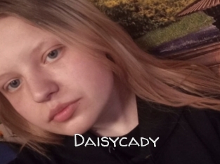 Daisycady