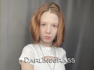 Darlinegrass