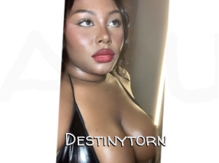 Destinytorn