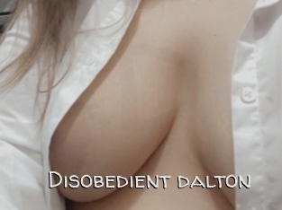 Disobedient_dalton