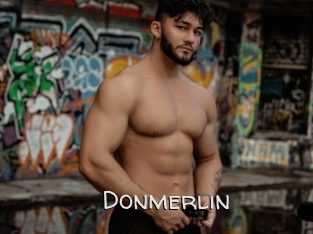 Donmerlin