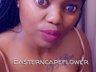 Easterncapeflower