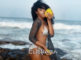 Elishara