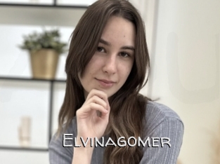 Elvinagomer