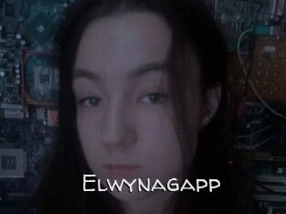 Elwynagapp