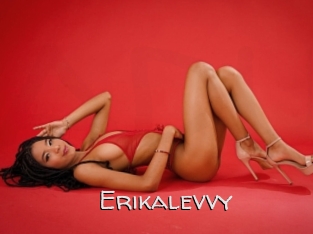 Erikalevvy