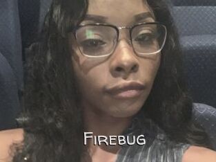 Firebug