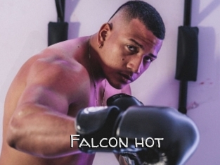 Falcon_hot