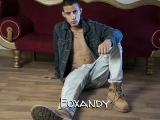 foxandy Adult dvd gold