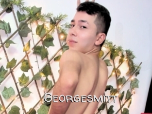 Georgesmitt