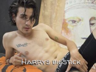 Harrys_bigstick