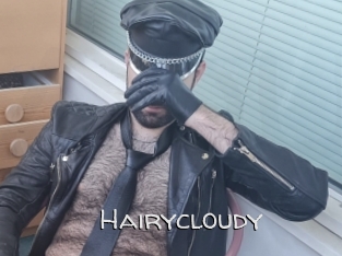 Hairycloudy