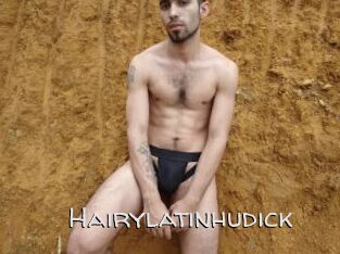 Hairylatinhudick