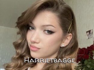 Harrietbagge