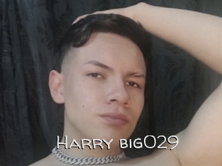 Harry_big029