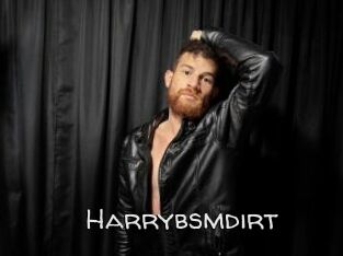 Harrybsmdirt