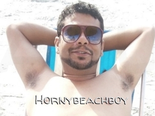 Hornybeachboy