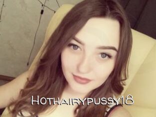 Hothairypussy18