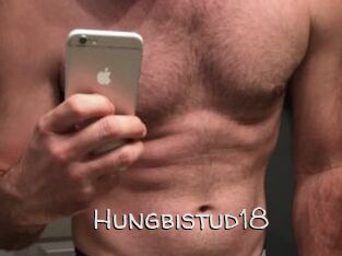 Hungbistud18