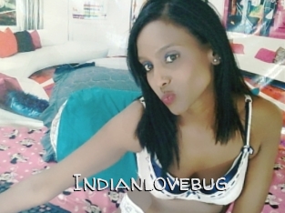 Indianlovebug