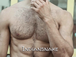 Indiansnake