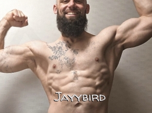 Jayybird